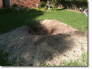 Stump Removal in Rowlett, TX