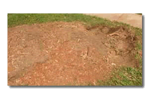 Rowlett stump Removal